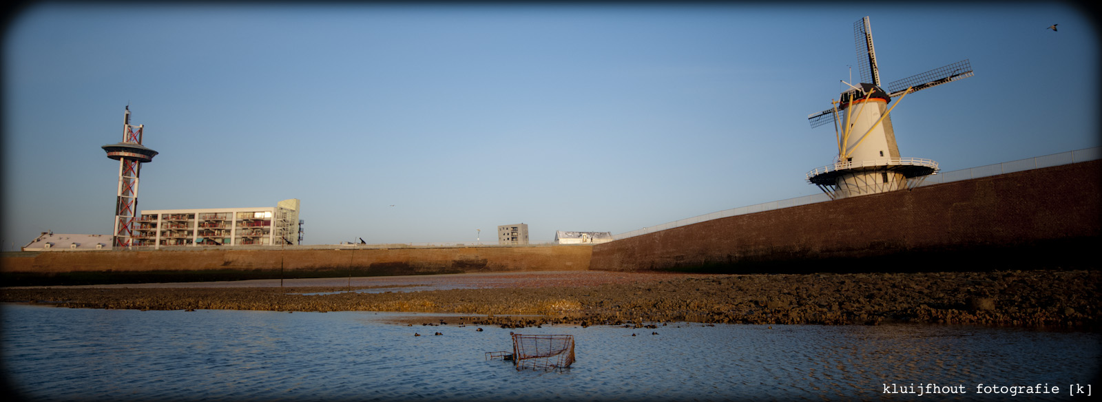 kluijfhout