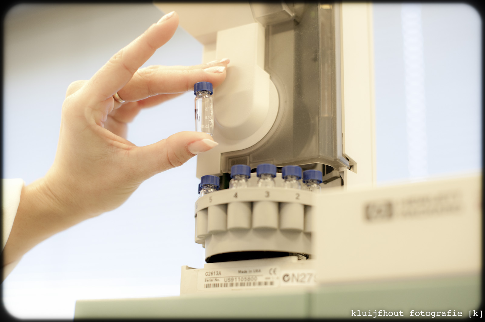 kluijfhout